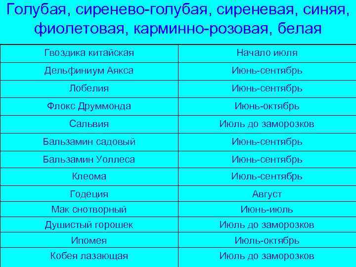 Голубая, сиренево-голубая, сиреневая, синяя, фиолетовая, карминно-розовая, белая Гвоздика китайская Начало июля Дельфиниум Аякса Июнь-сентябрь
