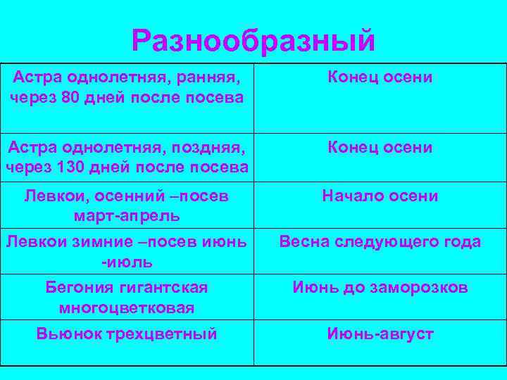 Разнообразный Астра однолетняя, ранняя, через 80 дней после посева Конец осени Астра однолетняя, поздняя,