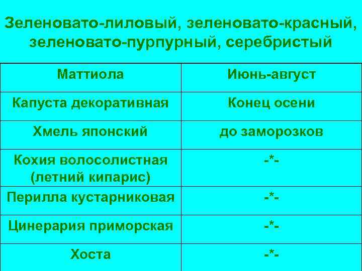 Зеленовато-лиловый, зеленовато-красный, зеленовато-пурпурный, серебристый Маттиола Июнь-август Капуста декоративная Конец осени Хмель японский до заморозков