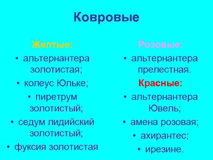Ковровые Желтые: • альтернантера золотистая; • колеус Юльке; • пиретрум золотистый; • седум лидийский
