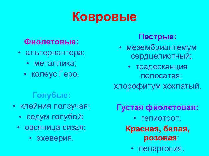 Ковровые Фиолетовые: • альтернантера; • металлика; • колеус Геро. Голубые: • клейния ползучая; •