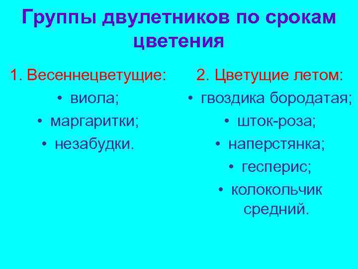 Группы двулетников по срокам цветения 1. Весеннецветущие: • виола; • маргаритки; • незабудки. 2.
