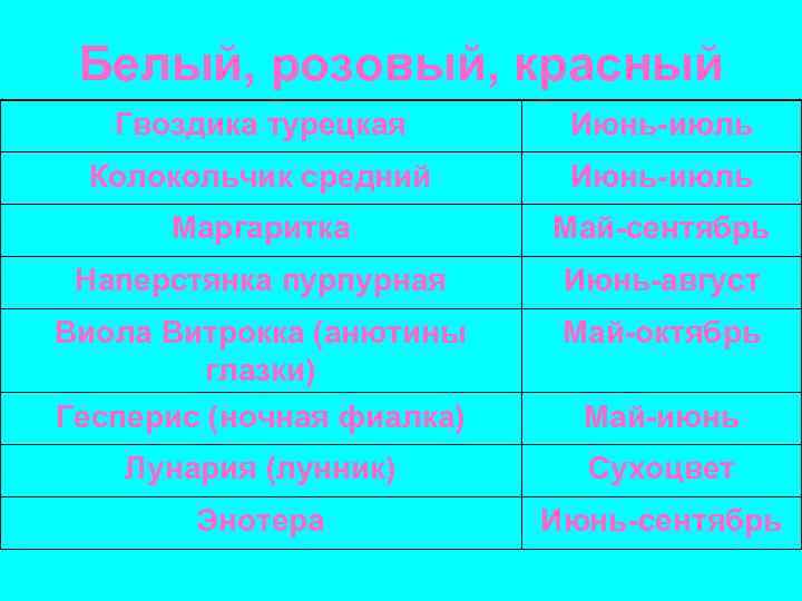 Белый, розовый, красный Гвоздика турецкая Июнь-июль Колокольчик средний Июнь-июль Маргаритка Май-сентябрь Наперстянка пурпурная Июнь-август