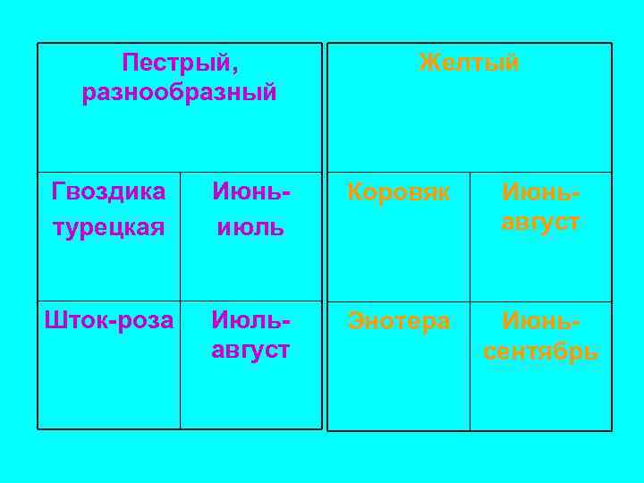 Пестрый, разнообразный Желтый Гвоздика турецкая Июньиюль Коровяк Июньавгуст Шток-роза Июльавгуст Энотера Июньсентябрь 