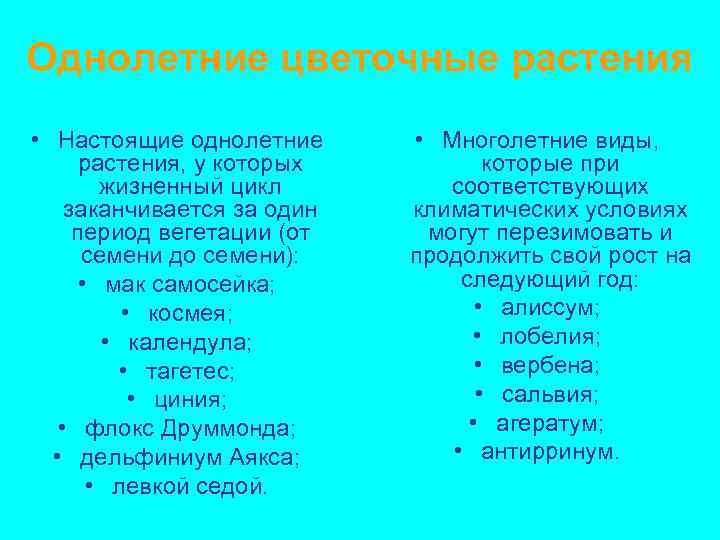 Однолетние цветочные растения • Настоящие однолетние растения, у которых жизненный цикл заканчивается за один