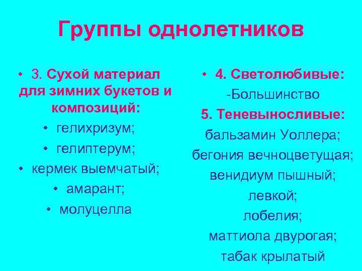 Группы однолетников • 3. Сухой материал для зимних букетов и композиций: • гелихризум; •
