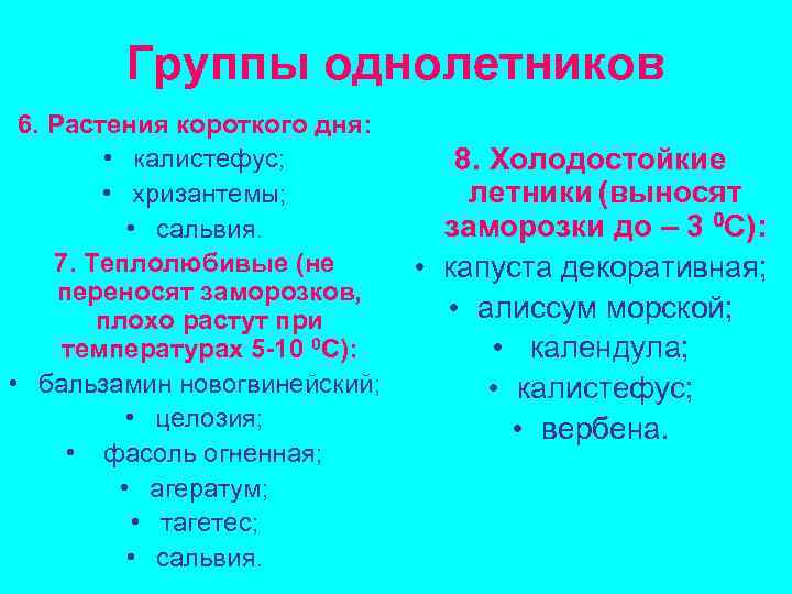 Группы однолетников 6. Растения короткого дня: • калистефус; • хризантемы; • сальвия. 7. Теплолюбивые