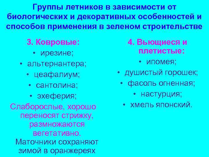 Группы летников в зависимости от биологических и декоративных особенностей и способов применения в зеленом