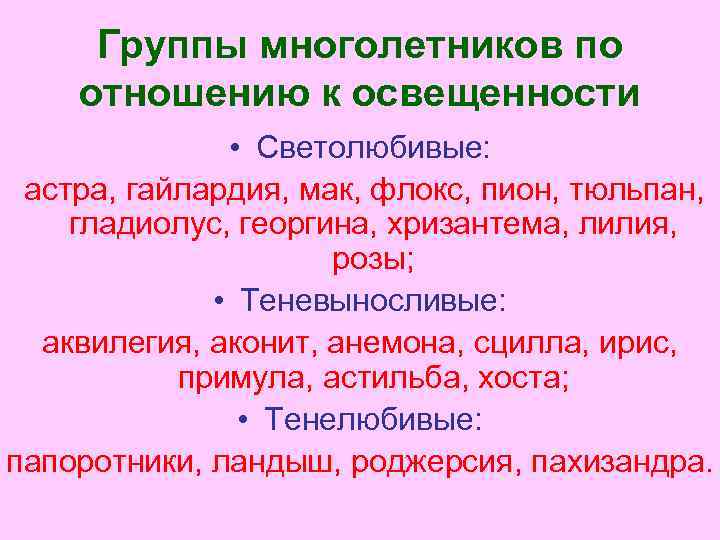 Группы многолетников по отношению к освещенности • Светолюбивые: астра, гайлардия, мак, флокс, пион, тюльпан,