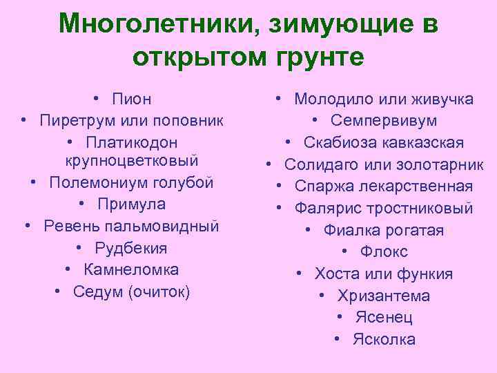 Многолетники, зимующие в открытом грунте • Пион • Пиретрум или поповник • Платикодон крупноцветковый