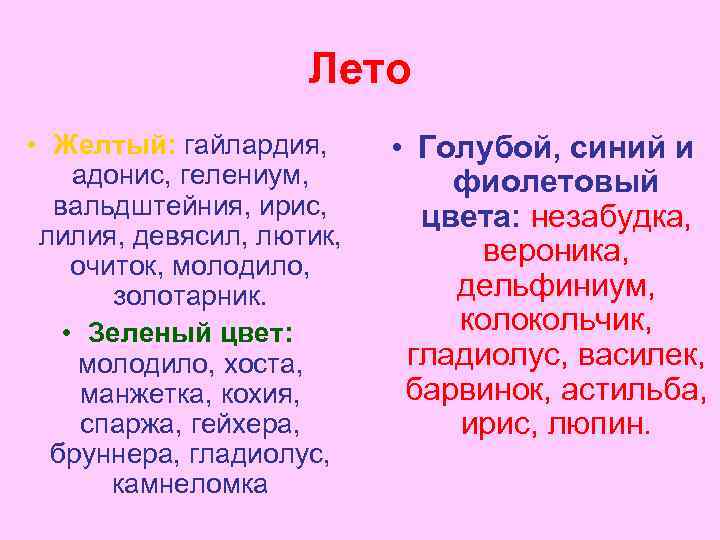Лето • Желтый: гайлардия, адонис, гелениум, вальдштейния, ирис, лилия, девясил, лютик, очиток, молодило, золотарник.
