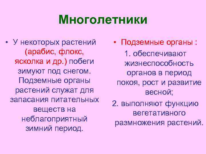 Многолетники • У некоторых растений (арабис, флокс, ясколка и др. ) побеги зимуют под