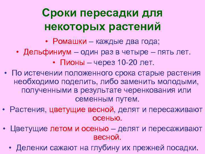 Сроки пересадки для некоторых растений • Ромашки – каждые два года; • Дельфиниум –