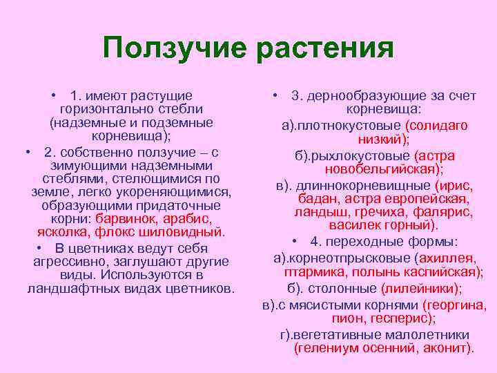 Ползучие растения • 1. имеют растущие горизонтально стебли (надземные и подземные корневища); • 2.