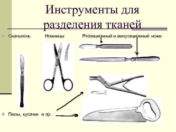 Патологоанатомические инструменты названия и фото