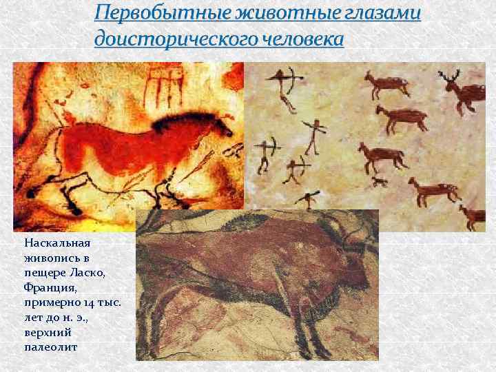 Наскальная живопись в пещере Ласко, Франция, примерно 14 тыс. лет до н. э. ,