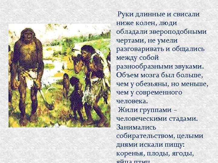  Руки длинные и свисали ниже колен, люди обладали звероподобными чертами, не умели разговаривать