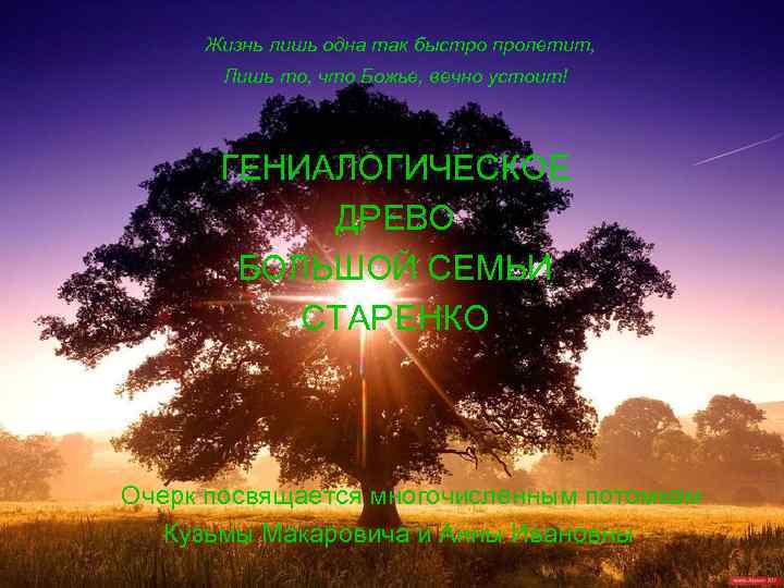 Жизнь лишь одна так быстро пролетит, Лишь то, что Божье, вечно устоит! ГЕНИАЛОГИЧЕСКОЕ ДРЕВО