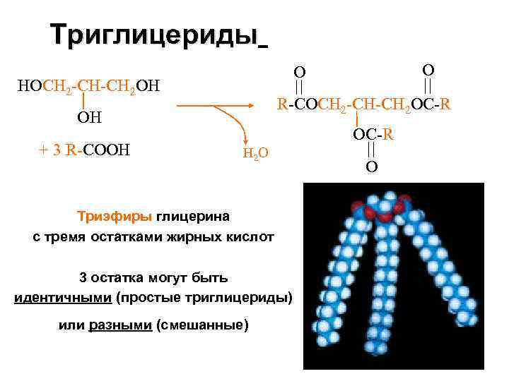 Три глицерины