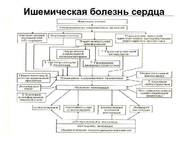 Ишемическая болезнь сердца 