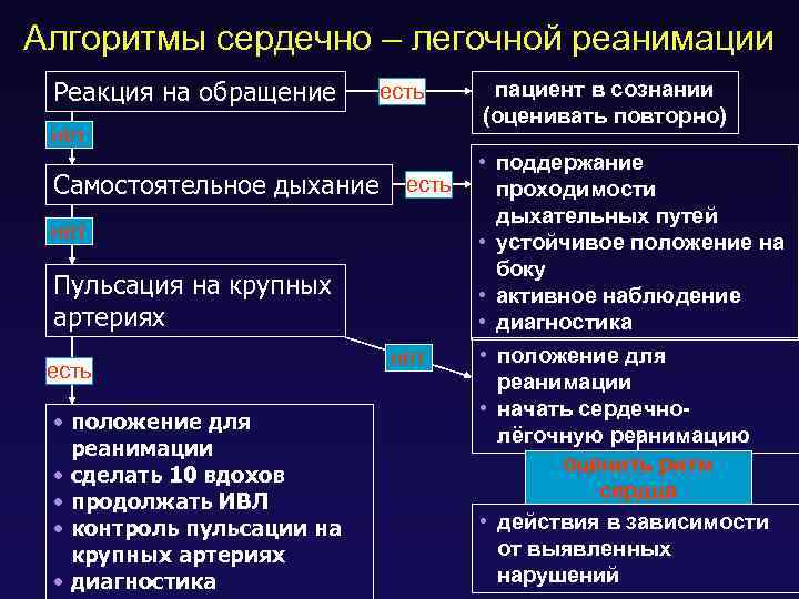 Алгоритмы сердечно – легочной реанимации Реакция на обращение есть нет Самостоятельное дыхание есть нет