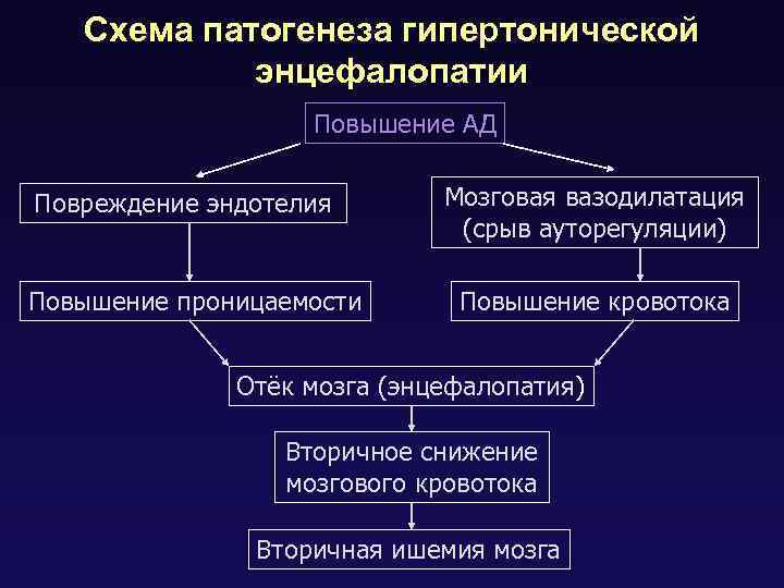 Схема патогенеза гипертонической энцефалопатии Повышение АД Повреждение эндотелия Повышение проницаемости Мозговая вазодилатация (срыв ауторегуляции)