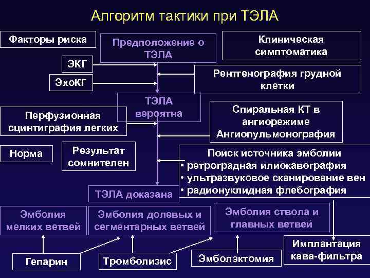 Алгоритм тактики при ТЭЛА Факторы риска ЭКГ Предположение о ТЭЛА Рентгенография грудной клетки Эхо.