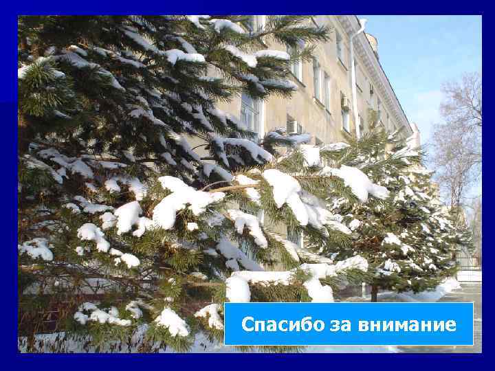 Спасибо за внимание 