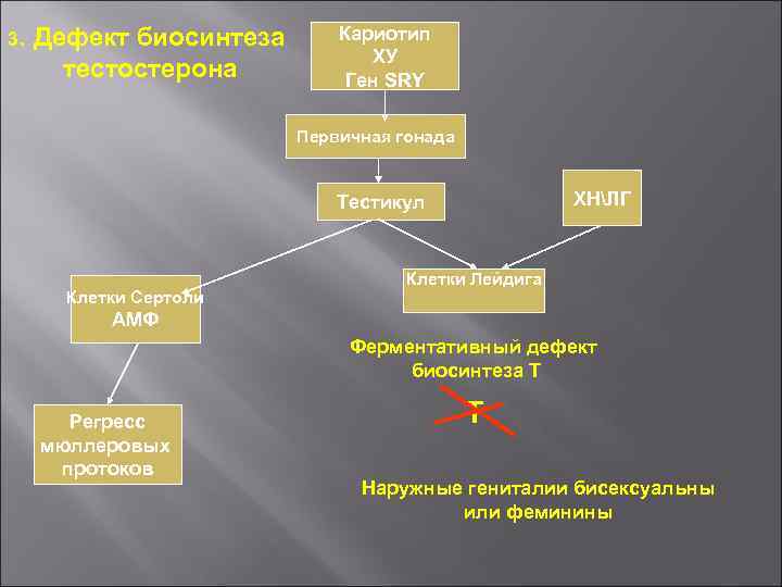 3. Дефект биосинтеза тестостерона Кариотип ХУ Ген SRY Первичная гонада ХНЛГ Тестикул Клетки Сертоли