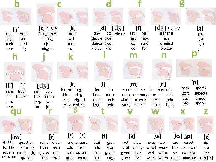 b [b] c bakes bags bark bear boat ball bed big [h] [-] [s]