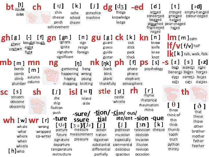 [t] bt doubt ch debt [ dg [fridge] -ed pistachio [k] ] [ ]