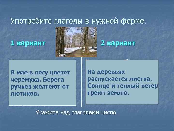 Употребите глаголы в нужной форме. 1 вариант В мае в лесу (цв. . тет,