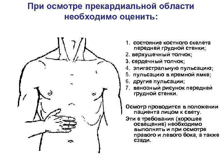 При осмотре прекардиальной области необходимо оценить: 1. состояние костного скелета передней грудной стенки; 2.