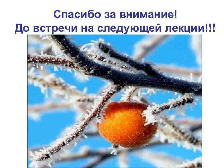 Спасибо за внимание! До встречи на следующей лекции!!! 