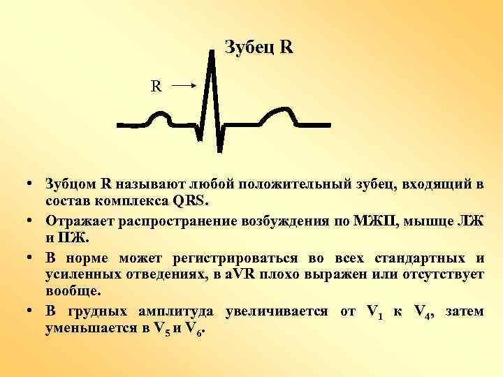 Зубец R R • Зубцом R называют любой положительный зубец, входящий в состав комплекса