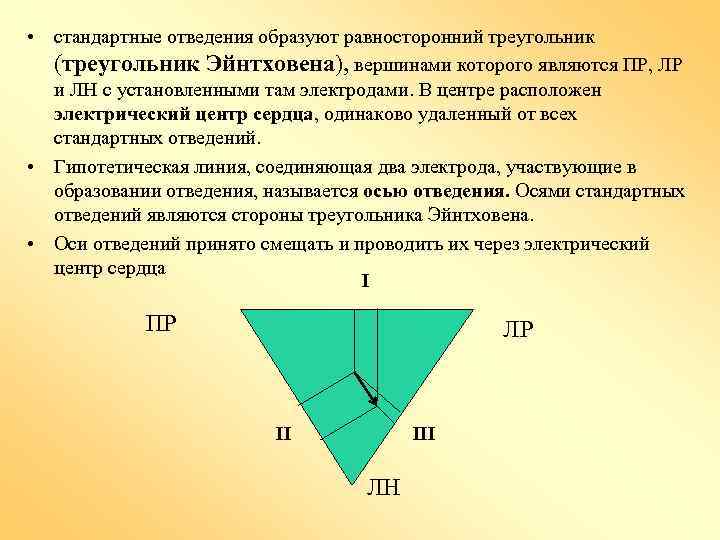  • стандартные отведения образуют равносторонний треугольник (треугольник Эйнтховена), вершинами которого являются ПР, ЛР