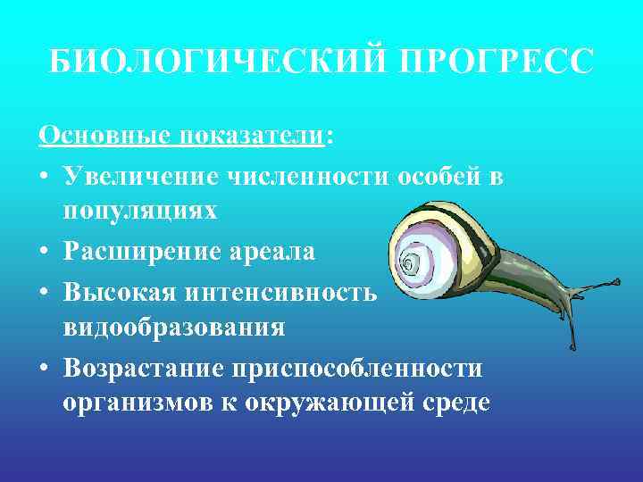 БИОЛОГИЧЕСКИЙ ПРОГРЕСС Основные показатели: • Увеличение численности особей в популяциях • Расширение ареала •