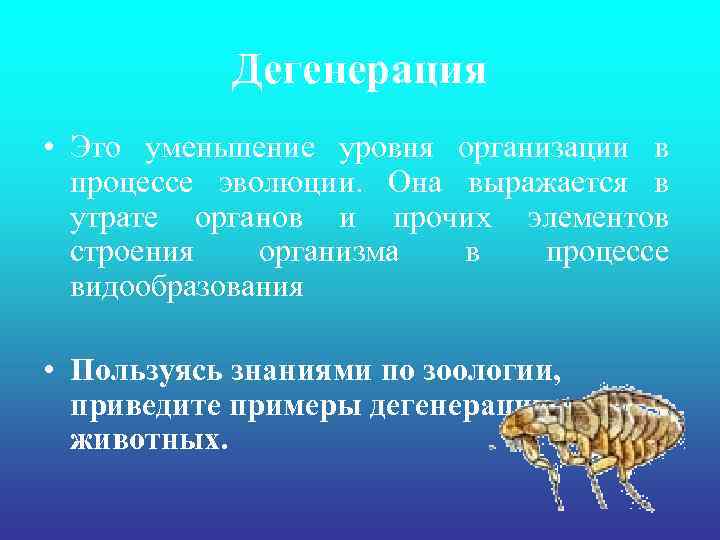 Дегенерация • Это уменьшение уровня организации в процессе эволюции. Она выражается в утрате органов