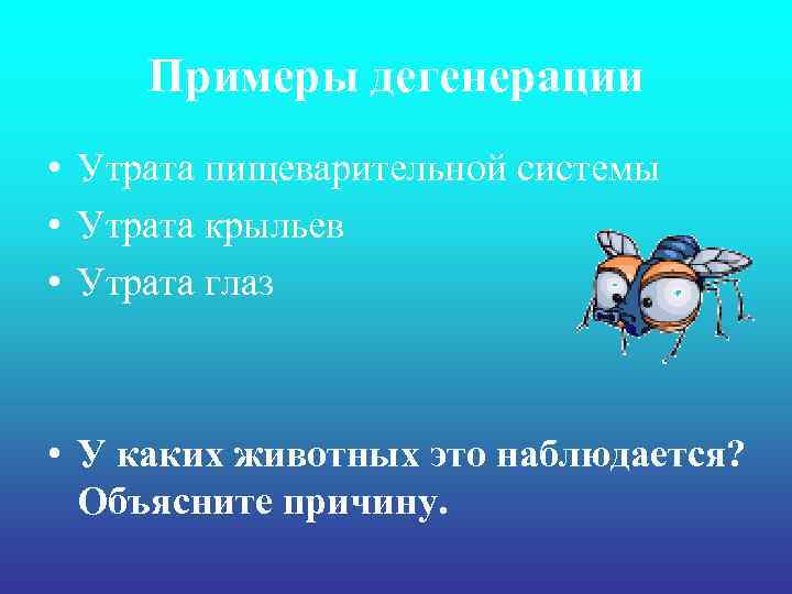 Примеры дегенерации • Утрата пищеварительной системы • Утрата крыльев • Утрата глаз • У
