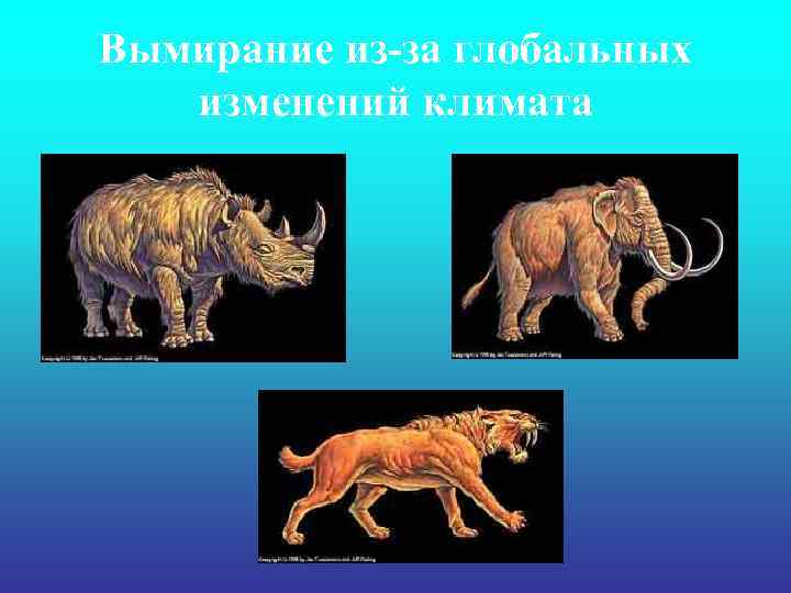 Вымирание из-за глобальных изменений климата 