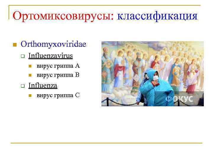 Ортомиксовирусы: классификация Orthomyxoviridae q Influenzavirus q вирус гриппа А вирус гриппа В Influenza вирус