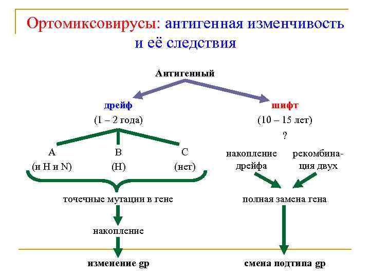 Ортомиксовирусы: антигенная изменчивость и её следствия Антигенный дрейф (1 – 2 года) шифт (10