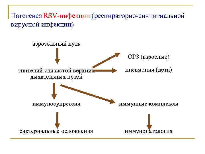 Патогенез RSV-инфекции (респираторно-синцитиальной вирусной инфекции) аэрозольный путь ОРЗ (взрослые) эпителий слизистой верхних дыхательных путей