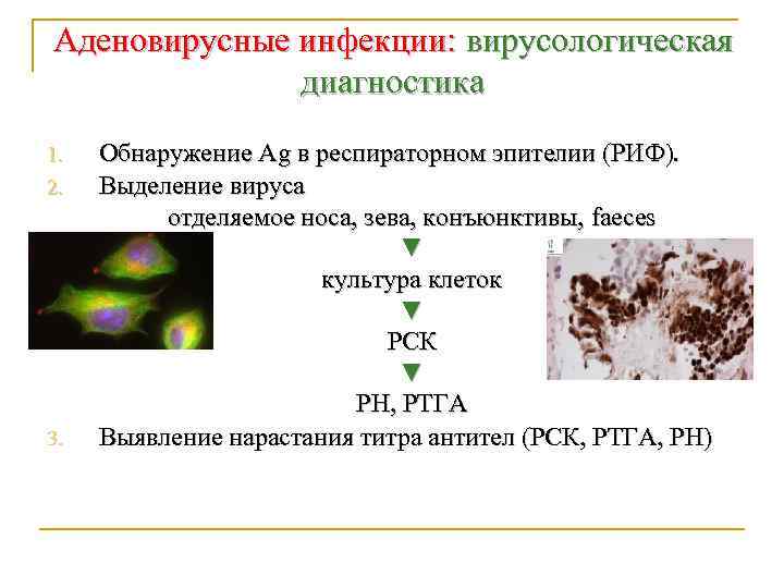 Аденовирусные инфекции: вирусологическая диагностика 1. 2. 3. Обнаружение Ag в респираторном эпителии (РИФ). Выделение