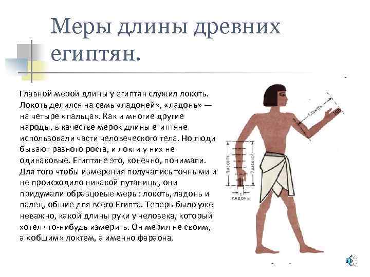 Меры длины древних египтян. Главной мерой длины у египтян служил локоть. Локоть делился на