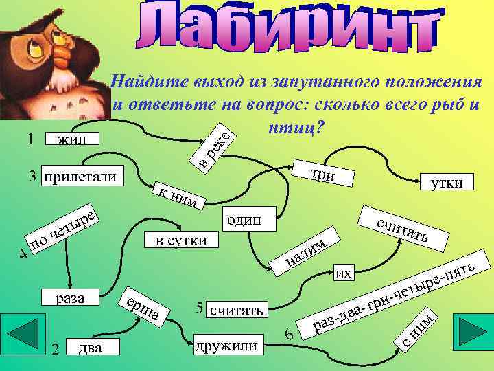 ек е жил вр к ни е 4 два м в сутки п 2