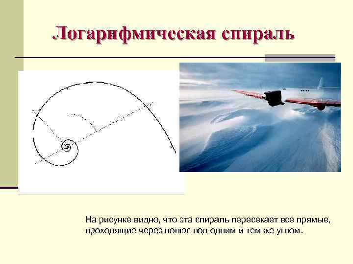 Логарифмическая спираль На рисунке видно, что эта спираль пересекает все прямые, проходящие через полюс