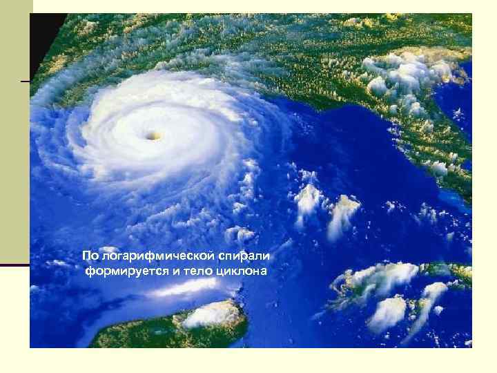 По логарифмической спирали формируется и тело циклона 