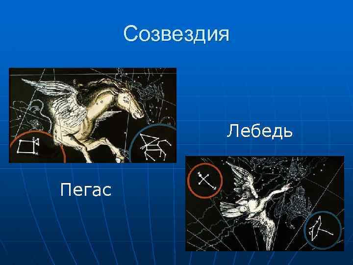 Созвездия Лебедь Пегас 