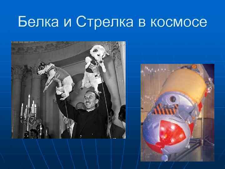Белка и Стрелка в космосе 